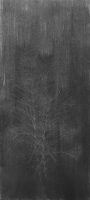 V Equisetum arvense (2018) coal/bleached linseed oil/graphite 76 x 35 cm
