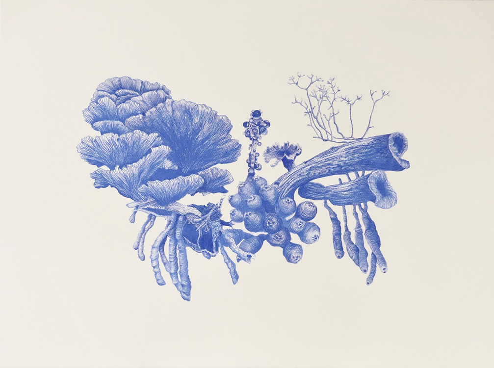 Plantscape no 2 (2021) pastel chalk/Saunders Waterford 300 gr 56x76 cm